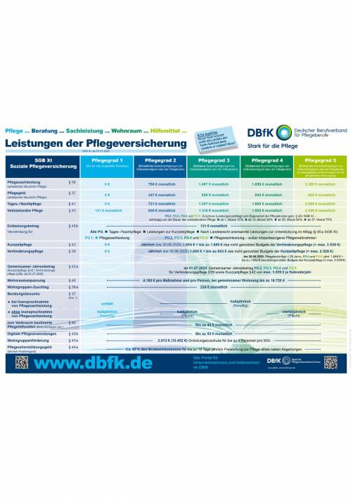 DBfK Flyer Pflegeversicherung 